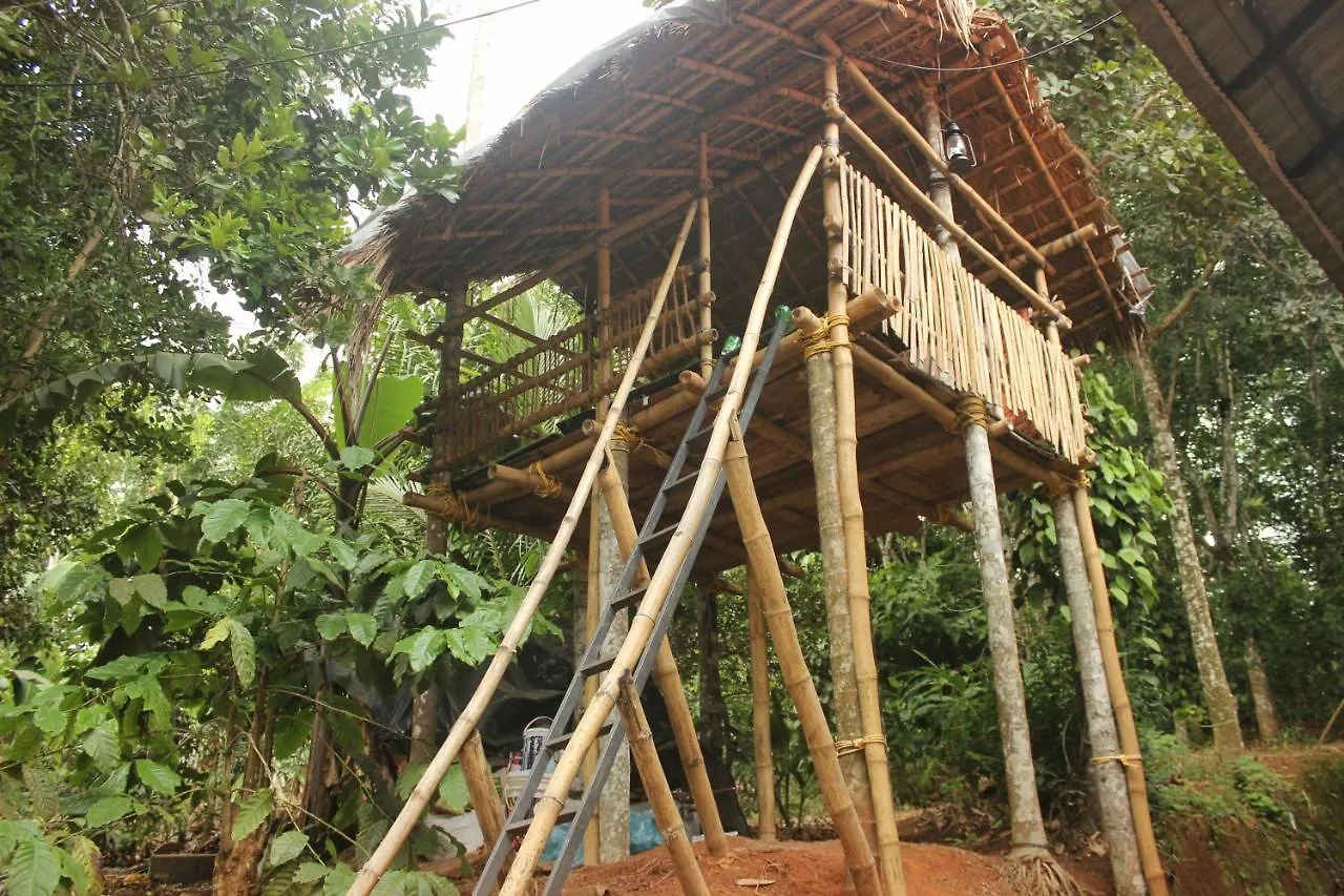 Wayanad Days Villa Mananthavady 0*,  India
