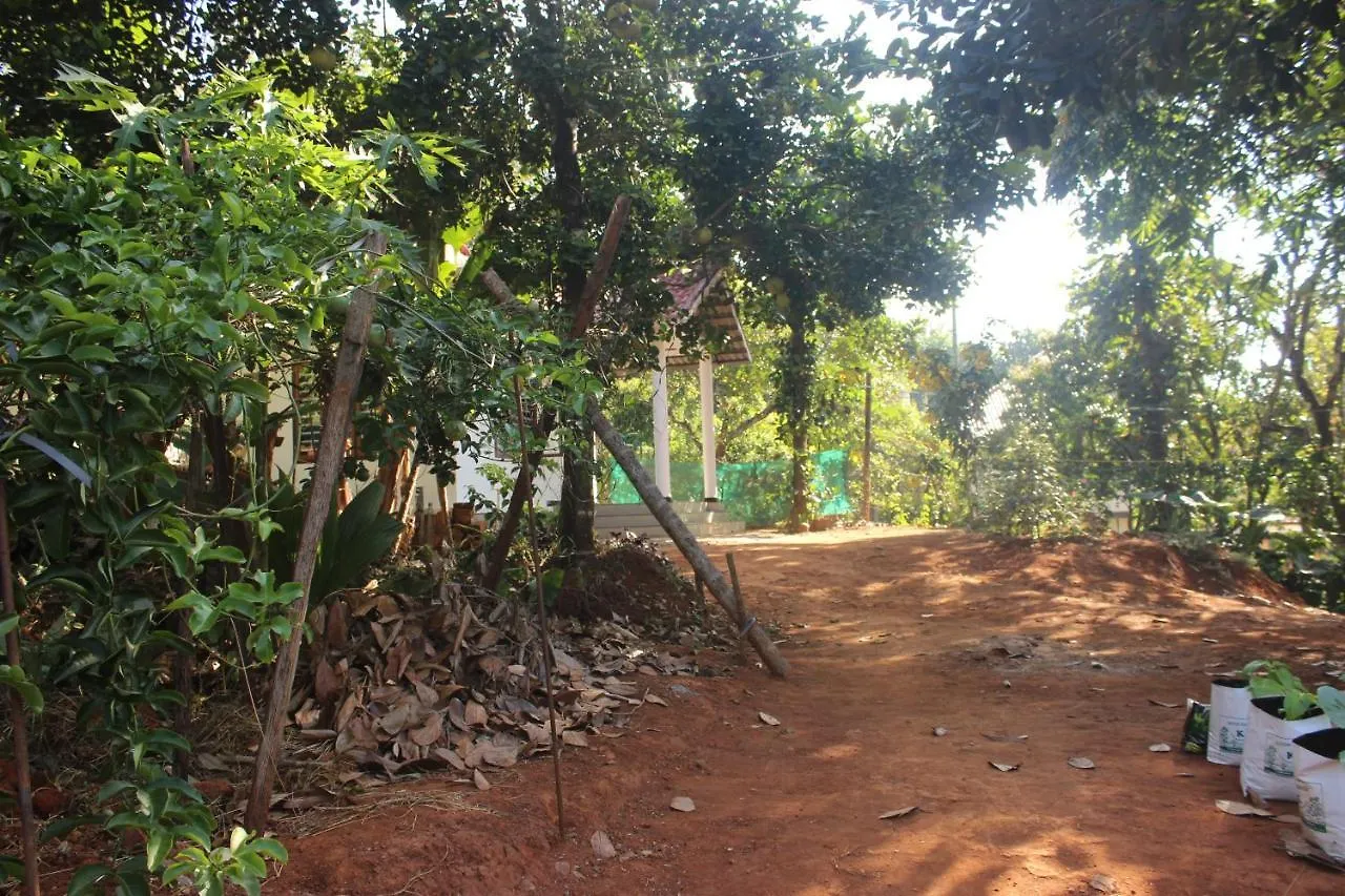 Wayanad Days Villa Mananthavady India